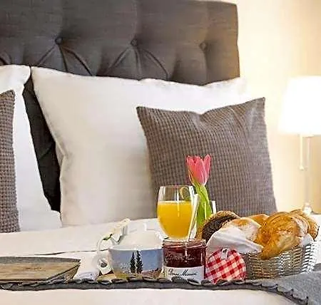 Boutique U Solne Brany Отель 3*