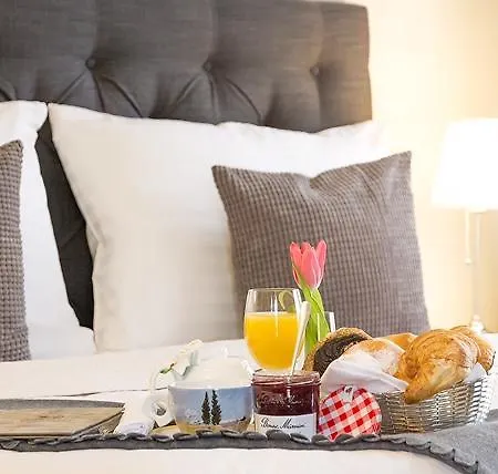 Boutique U Solne Brany 3* Ческе-Будеёвице