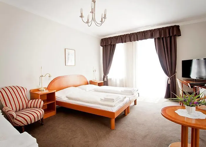 Hotell Boutique U Solne Brany 3*