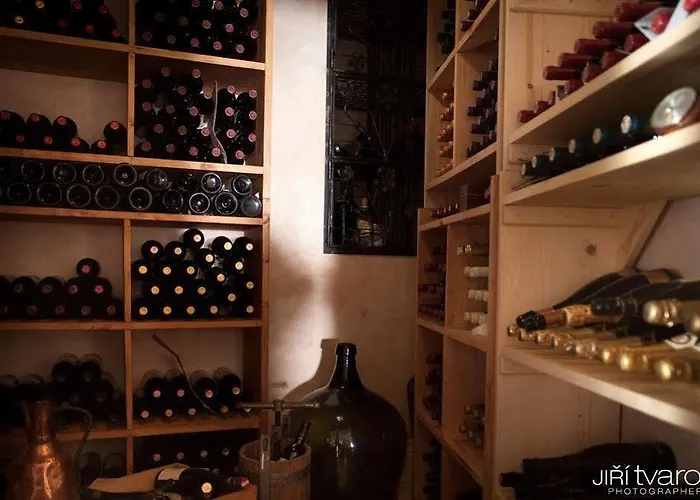 Boutique U Solne Brany Hotell